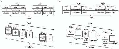 Language reorganization patterns in global aphasia–evidence from fNIRS